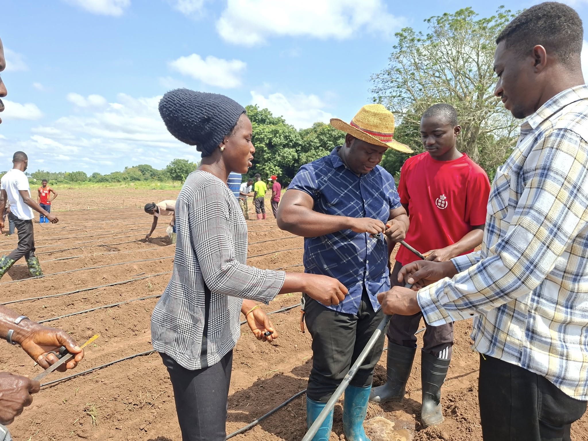 Building Construction Technology at Buipe Technical Institute