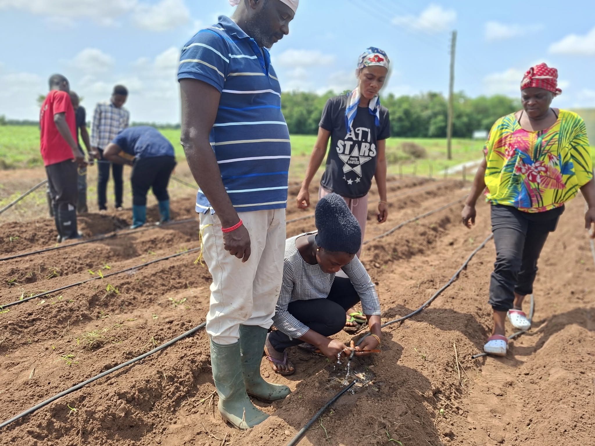 Student tending crops on the Ohawu demo field
