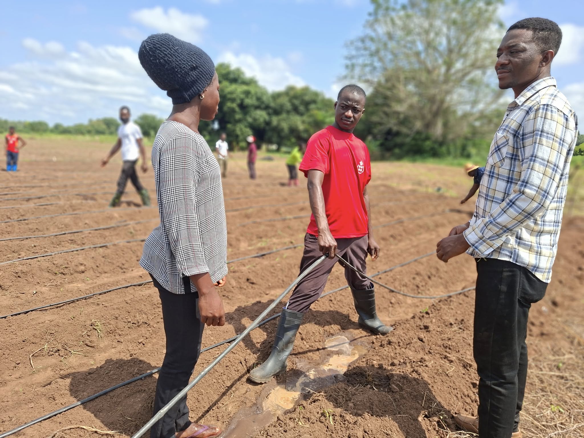 Agricultural Mechanization Technology at Buipe Technical Institute