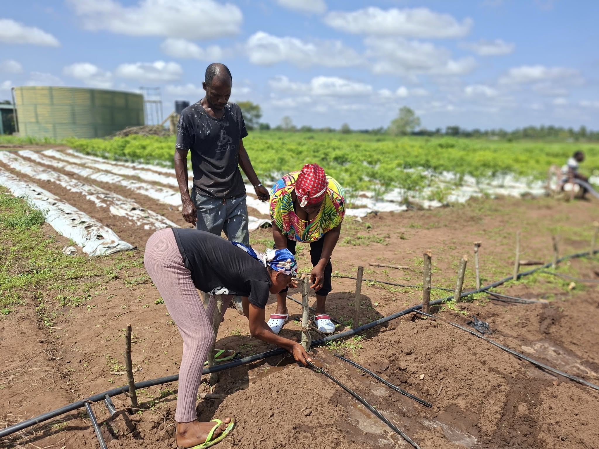 Agricultural Mechanization Technology at Buipe Technical Institute